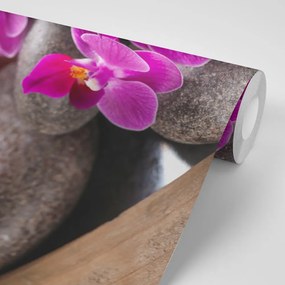 Samolepiaca fototapeta zen kamene s krásnymi kvetmi orchidey