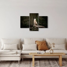 Obraz - Vytie vlka (90x60 cm)