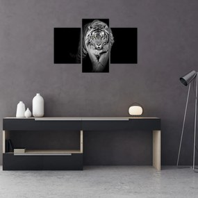 Obraz - Tiger so žltými očami (90x60 cm)
