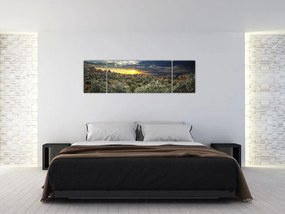 Obraz - zelený sád