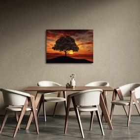 Obraz stromu pri západe slnka (70x50 cm)