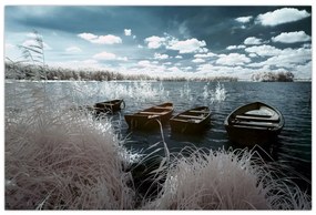Obraz - Drevené loďky na jazere (90x60 cm)