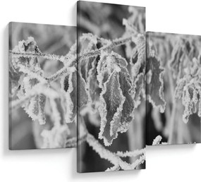 Obraz - Zmrznuté listy, čiernobiela (90x60 cm)