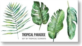 Obraz na stenu s textom Tropical paradise | rôzne rozmery