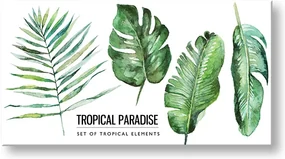 Obraz na stenu s textom Tropical paradise | rôzne rozmery