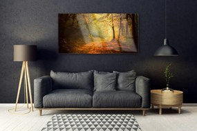 Obraz plexi Les cestička stromy príroda 120x60 cm