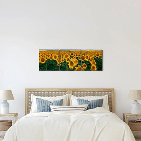 Obraz slnečnicového poľa (s hodinami) (90x30 cm)