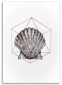 Gario Obraz na plátne Geometrická škrupina - Jan Perit Kablan Rozmery: 40 x 60 cm