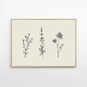 The Poster Club Plagát Three Friendly Bushels by Chloe Purpero Johnson 50x70