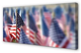 Obraz canvas Vlajky Spojených štátov 100x50 cm