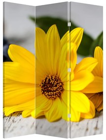 Paraván - Žlté kvety (126x170 cm)