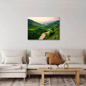 Obraz - Ryžové terasy II. (70x50 cm)