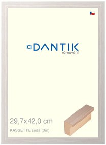 DANTIK rám na obraz 29,7x42 | KASSETTE šedá (Plexi Čiré)