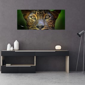 Obraz - Portrét leoparda, Sri Lanka (120x50 cm)