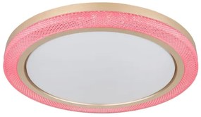 Globo 41372-24 - LED RGBW Stmievateľné stropné svietidlo BOLLY LED/20W/230V + DO