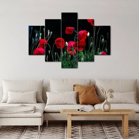 Obraz - Tanec vlčích makov (150x105 cm)
