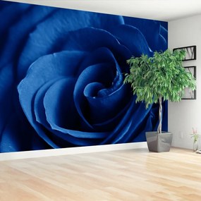 Fototapeta Vliesová Modrá ruža 104x70 cm