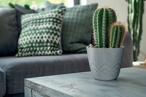 Kvetináč Areca - výber z 6 prevedení