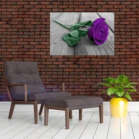 Obraz - Fialová ruža so zelenou stonkou (90x60 cm)