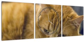 Obraz mačky (s hodinami) (90x30 cm)