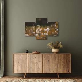 Obraz - Lúka s cottongrass N⁰2 (90x60 cm)