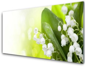 Skleneny obraz Konvalinky listy kvety lúka 120x60 cm