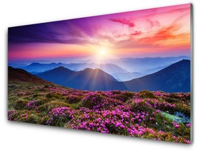 Obraz na skle Hora lúka kvety príroda 120x60 cm