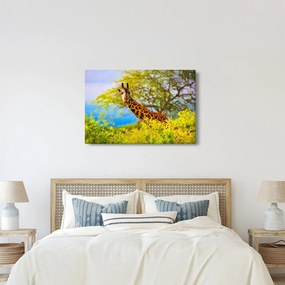 Obraz žirafy v Afrike (90x60 cm)
