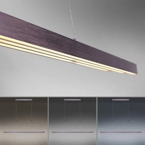 Paul Neuhaus 2568-24 - LED Stmievateľný luster na lanku ADRIANA LED/14W/230V