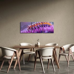 Obraz - Húsenica (s hodinami) (90x30 cm)