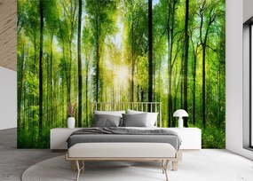 Gario Fototapeta Slnečné lúče v zelenom lese Materiál: Vliesová, Rozmery: 100 x 70 cm