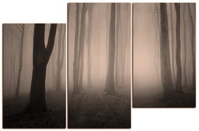 Obraz na plátne - Hmla v lese 1182FD (105x70 cm)