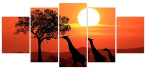 Obraz žirafy pri západe slnka