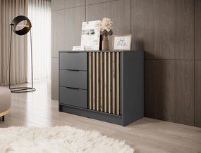 PIA Komoda so zásuvkami Nelly K2 - grafit / dub artisan
