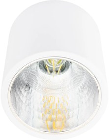 Spot JUPITER 17 DOWNLIGHT E27 stropné svietidlo s kovovou trubicou na povrchovú montáž