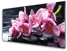 Obraz na skle Kvet kamene rastlina 125x50 cm