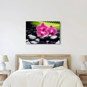 Obraz - Ružové orchidey s palmovým listom (90x60 cm)