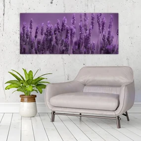 Obraz - Levanduľa (120x50 cm)