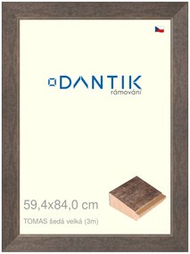 DANTIK rám na obraz 59,4x84 | TOMAS šedá velká (Plexi Čiré)