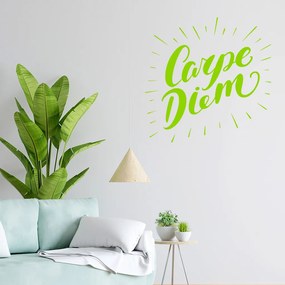 Veselá Stena Samolepka na stenu na stenu Carpe Diem (Užívaj dňa) Farba: čierna