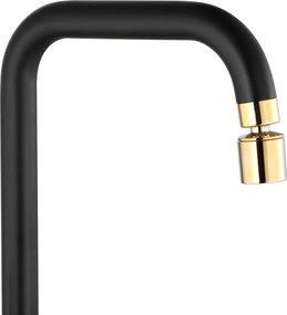 Rea Polo, stojanková drezová batéria, čierna matná-zlatá lesklá, REA-B9980