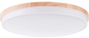 Brilliant - LED St. stropné svietidlo BAARLO LED/36W/230V pr. 50 cm biela + DO
