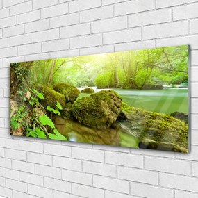 Obraz plexi Jazero kamene príroda 125x50 cm