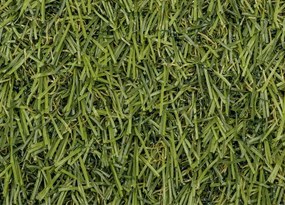 Koberce Breno Umelá tráva SPECTAL 2015, šíře role 400 cm