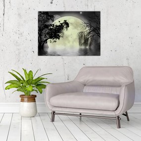 Sklenený obraz - Spln nad hladinou, čiernobiely variant (70x50 cm)