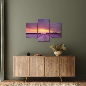 Obraz - Levanduľové pole (90x60 cm)