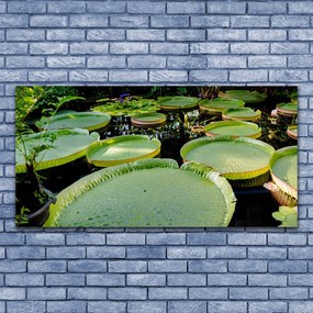 Obraz plexi Listy jazero príroda 120x60 cm