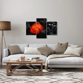 Obraz - Žeravý nerast (90x60 cm)