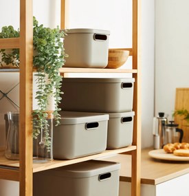 Rotho 2. akosť - Úložný box, rovný s vekom, 20l, antracit ALBU LIGHT, 40x36x18
