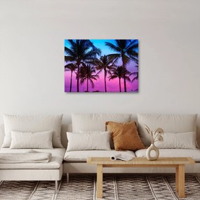 Obraz - Palmy v Miami (70x50 cm)